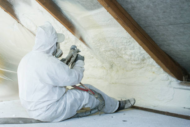 Best Crawl Space Insulation  in Plainview, TX