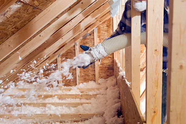 Best Insulation Air Sealing  in Plainview, TX